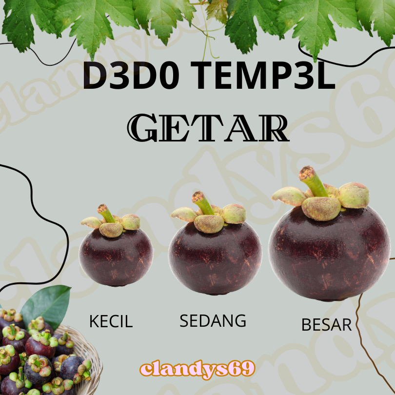

DL757G-JUAL MANGGIS FRESH LIMITED STOK
