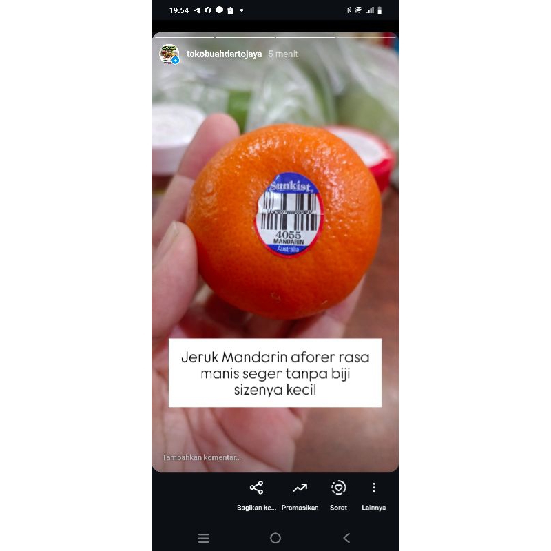 

Jeruk Mandarin Aforer - Toko Buah Darto Jaya