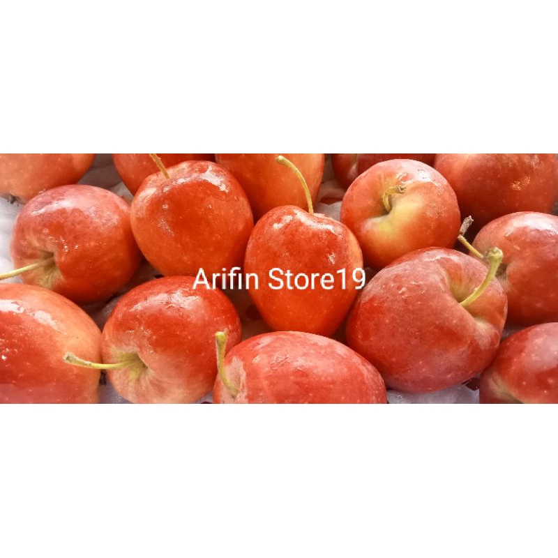 

Apel Asiatic RRC / Strawberry Apple / Free Paper Bag