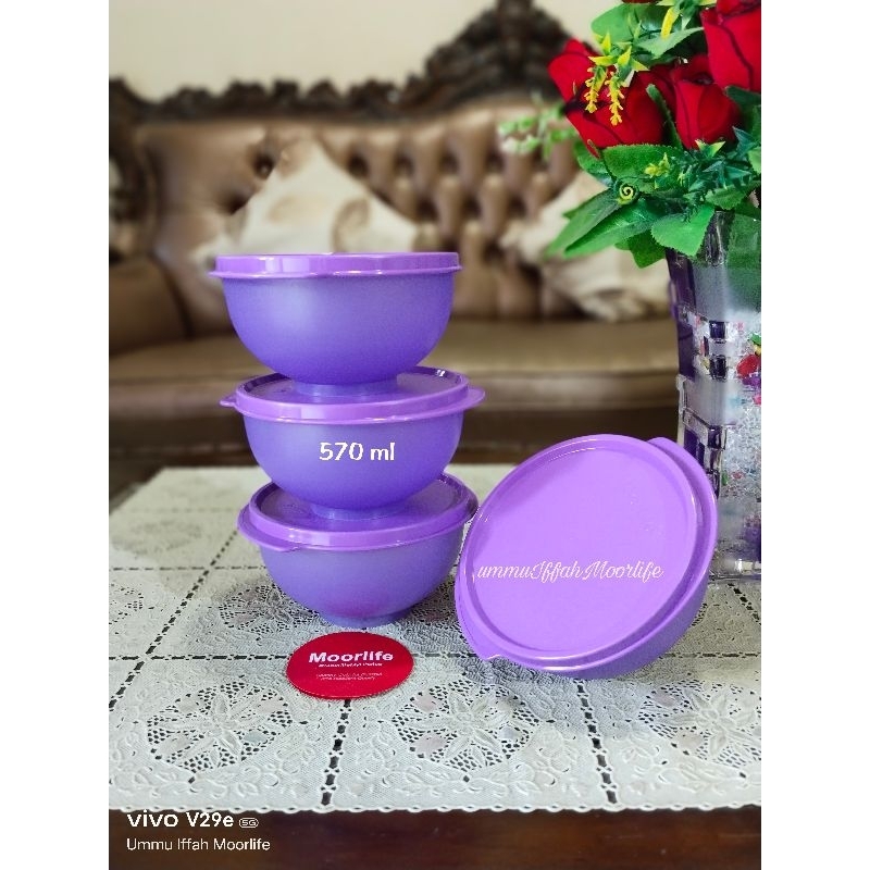 MOORLIFE ORIGINAL TAZZA BOWL 1PC