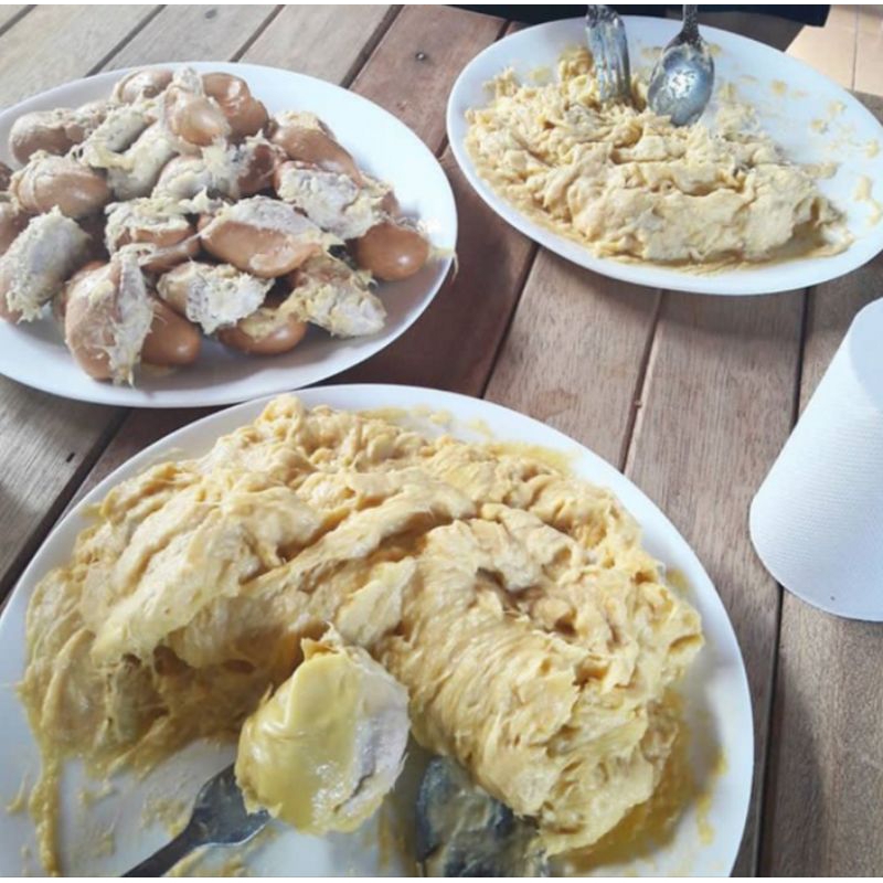 

TEMPOYAK MURNI 100%