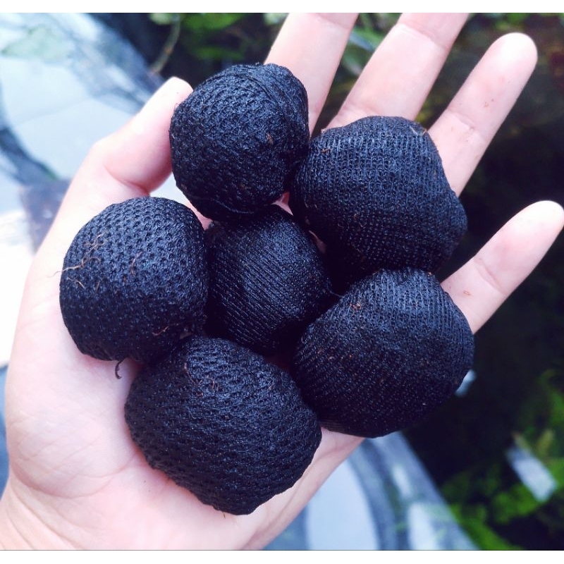 Media Tanaman (Wabikusa)