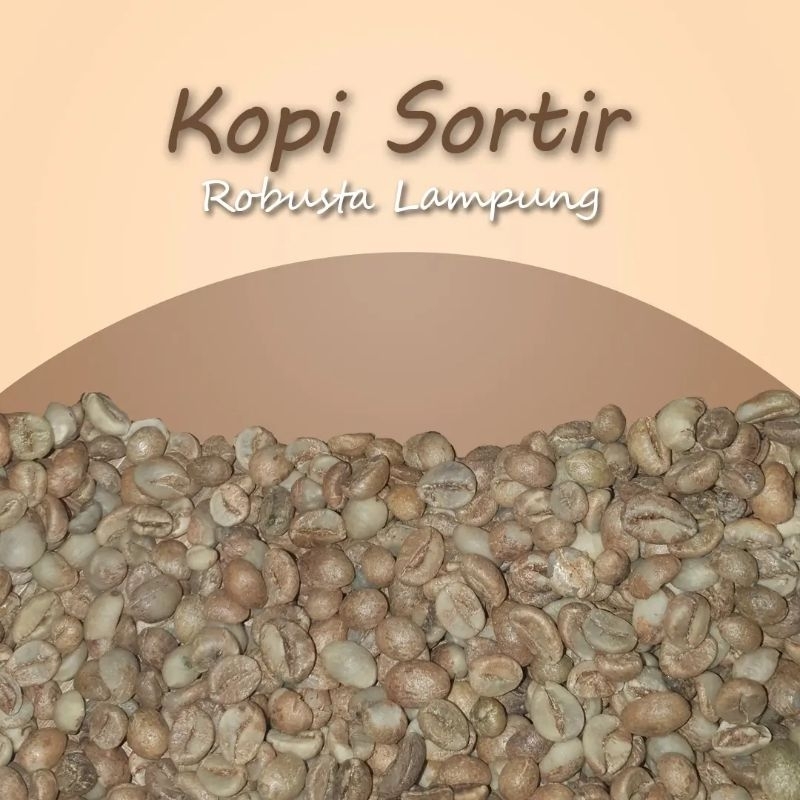 

kopi robusta sortiran lampung