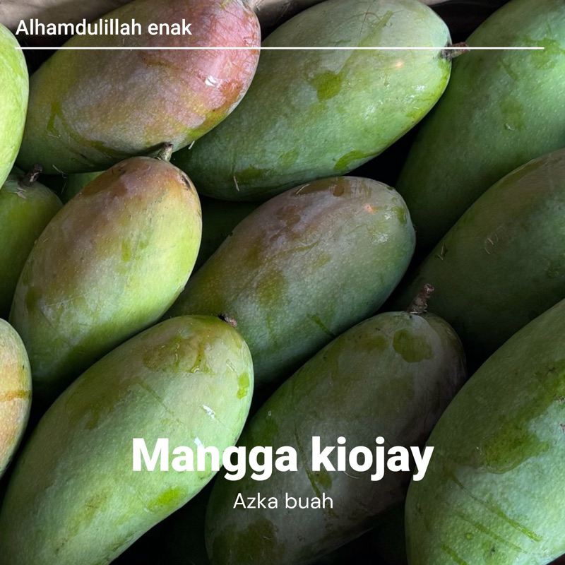 

buah mangga kiojay