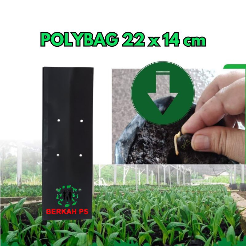 POLYBAG Tanaman 14x22 cm 500gr Tebal Cocok untuk Semai Benih dan Kecambah