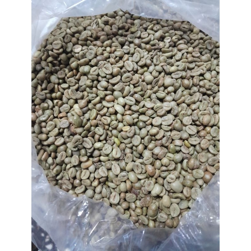 

GREEN BEAN ROBUSTA ASLI DAMPIT ASALAN 1KG