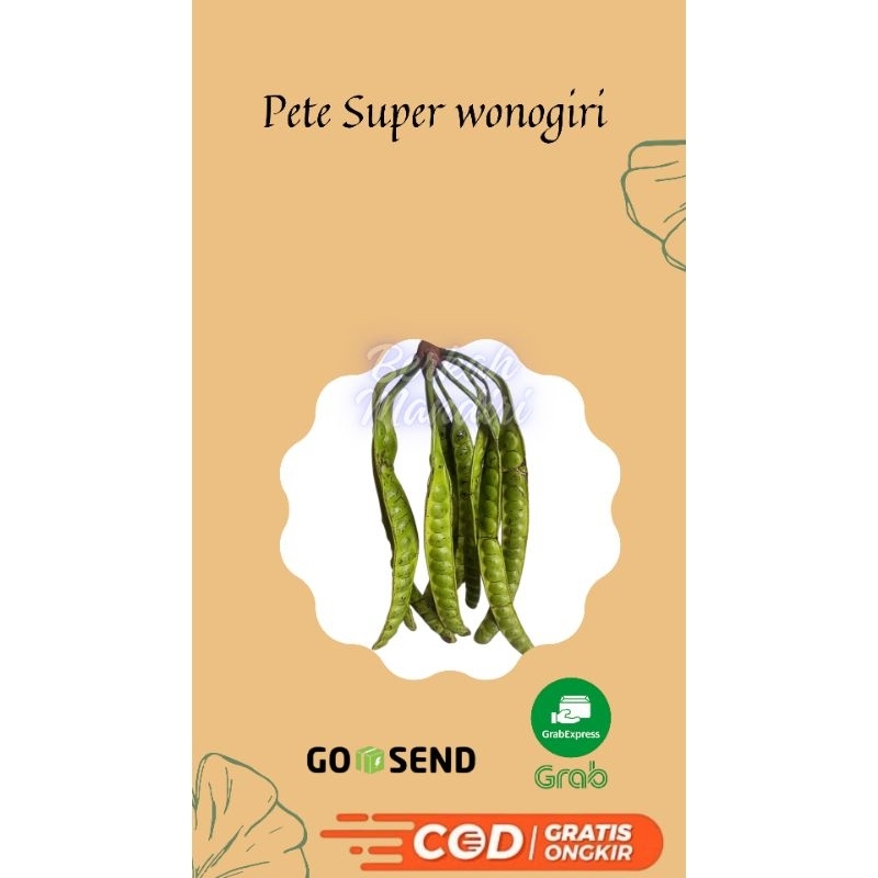 

Paket Pete Super Isi 10 Papan Asli Wonogiri