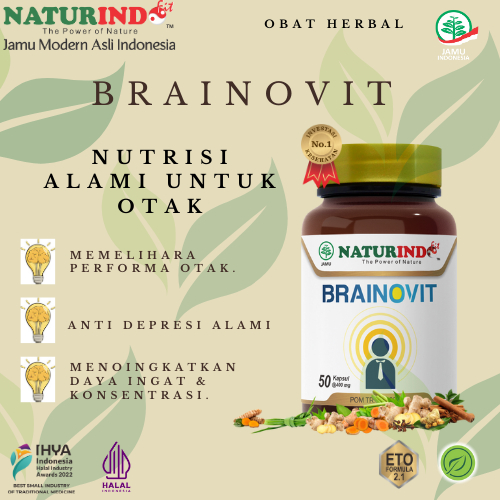 Vitamin Otak Anak Cerdas Vitamin Kecerdasan Otak Dan Daya Ingat Anak Brainovit Naturindo Vitamin Day