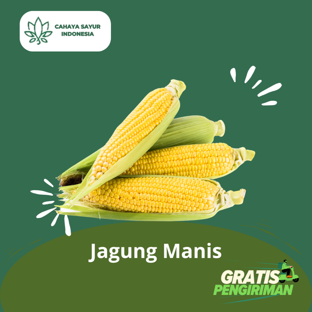 

Jagung Manis / Sweet Corn + Gratis Ongkir