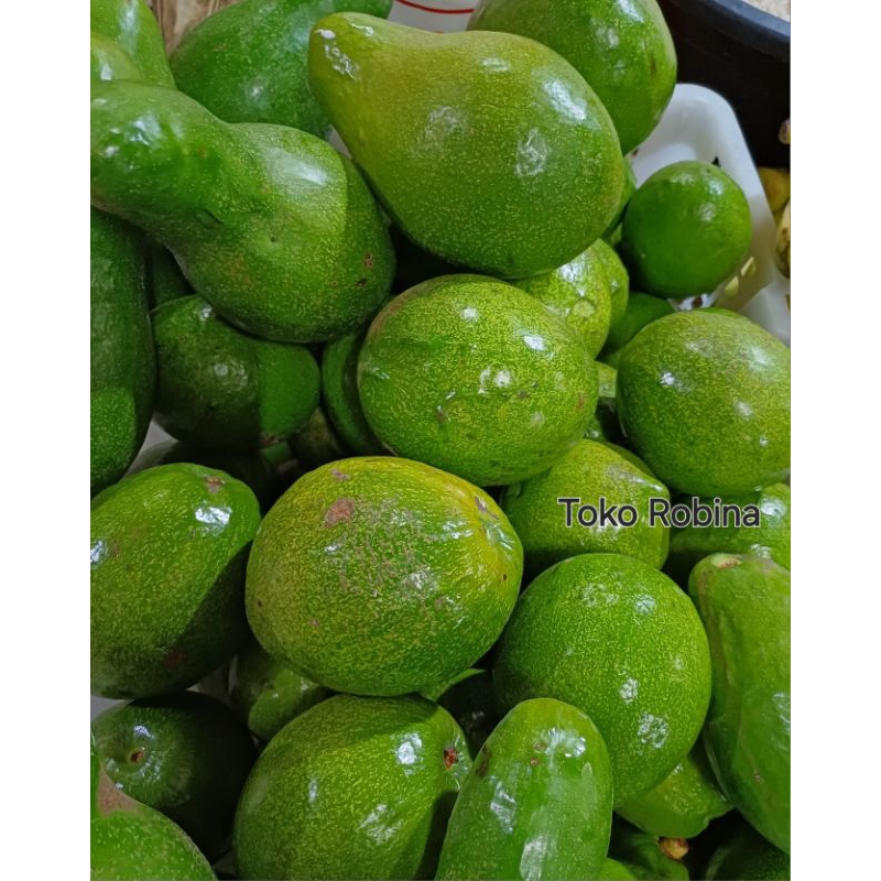 

Alpukat Mentega Best Choice