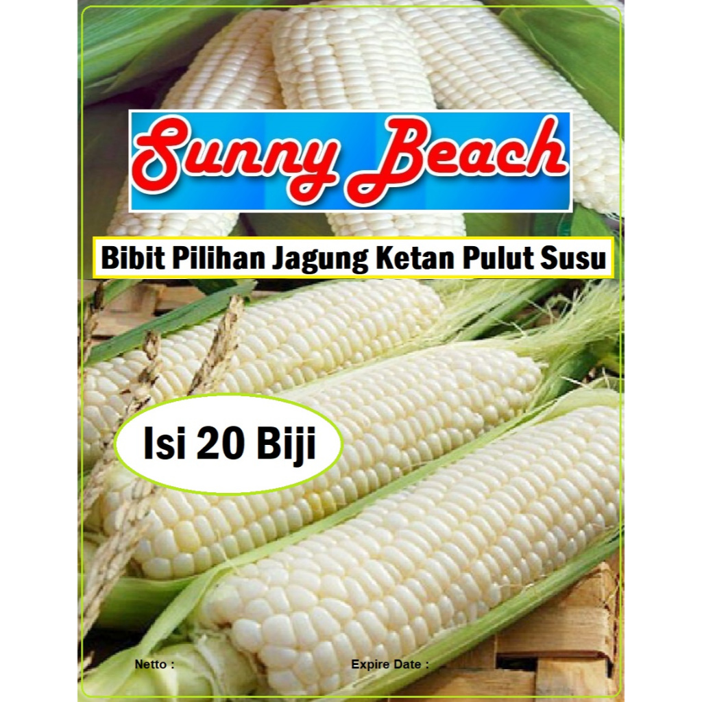 Bibit Pilihan Jagung Ketan Pulut Susu | Biji Benih Jagung Ketan Pulut Susu