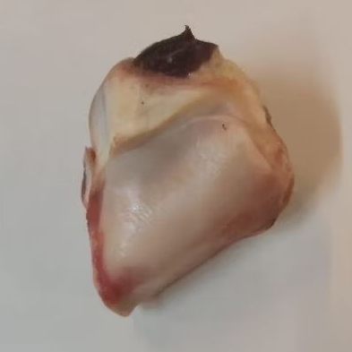 

Tulang dengkul sapi tanpa urat/Patella Bone 500gr - 1kg
