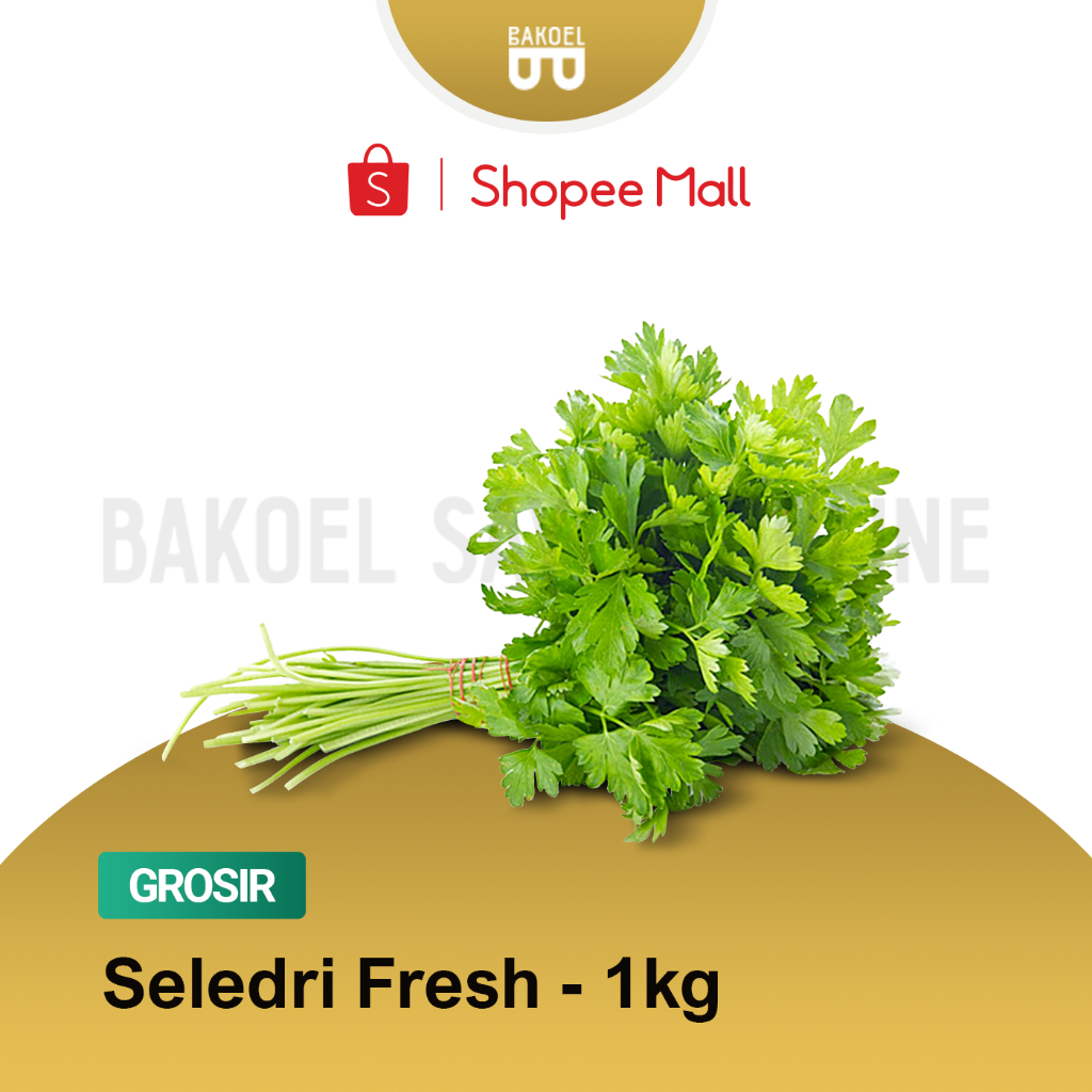 

Seledri Fresh - Grosir 1 Kg