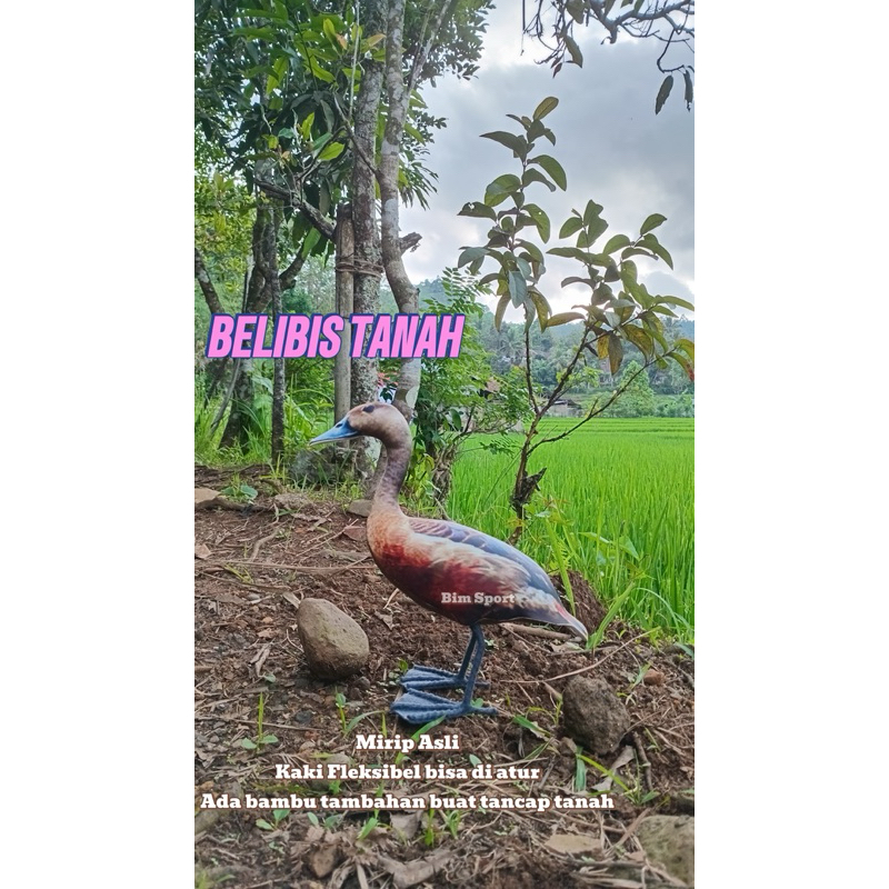 Jontrot patung Belibis Kembang