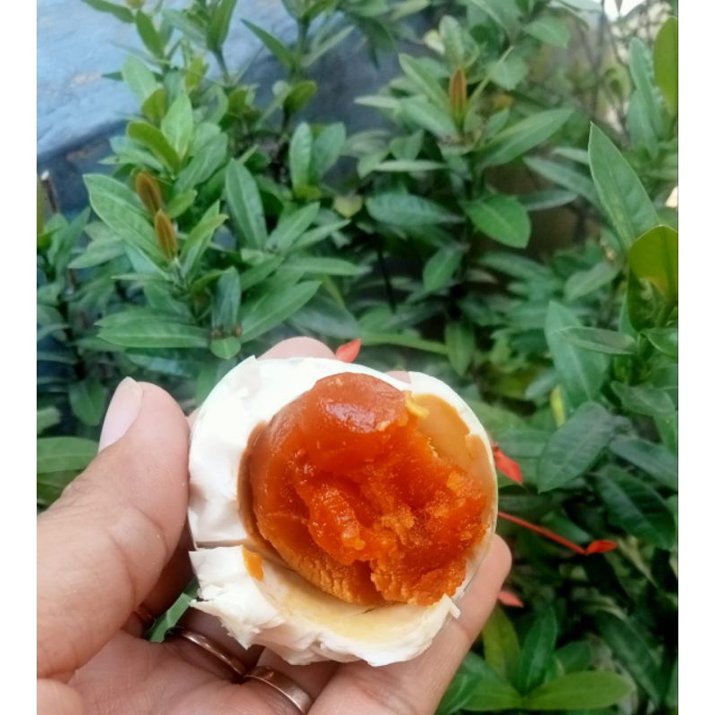 

TELUR ASIN GURIH KHAS BREBES