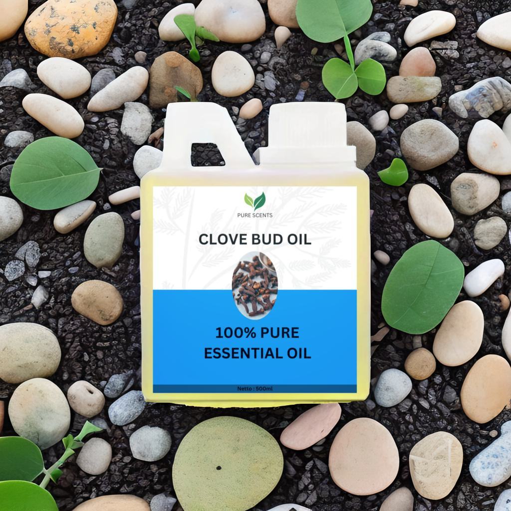Minyak Clove bud oil 500ml - Minyak bunga cengkeh essential oil