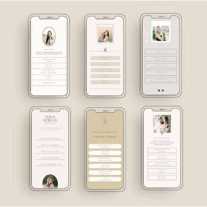 Script Sofware BioLink Linktree For Blogger Landing Page Profesional