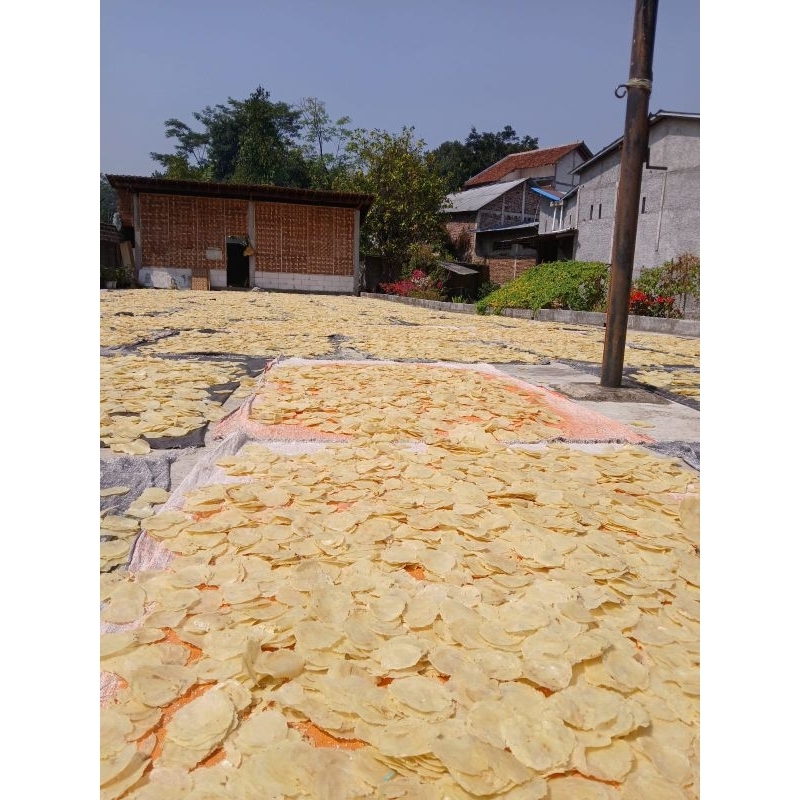 

Emping SP 500g/Emping Mentah Super Tipis/High Quality/100% Melinjo Asli/Emping Setengah Kering/Emping Mentah Murah