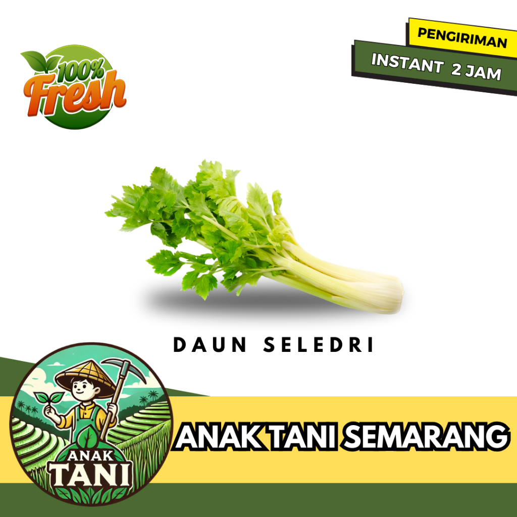 

[ANAK TANI] DAUN SELEDRI SEGAR SIAP KIRIM INSTANT AREA SEMARANG