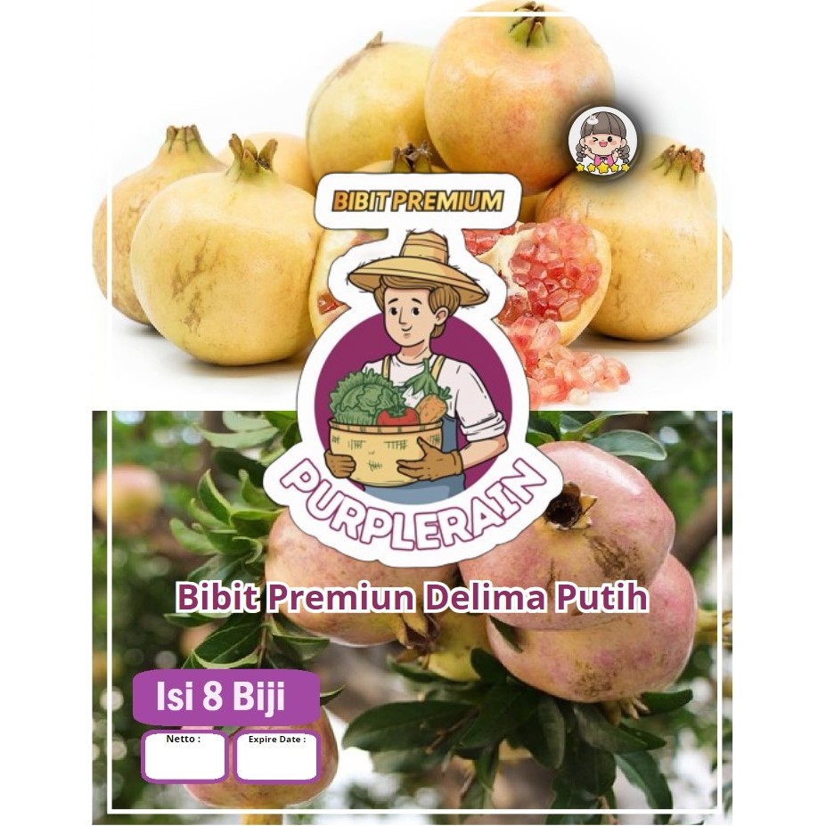 Bibit Premium Buah Delima Putih| Delimo|Benih Biji Delima Putih| Delima