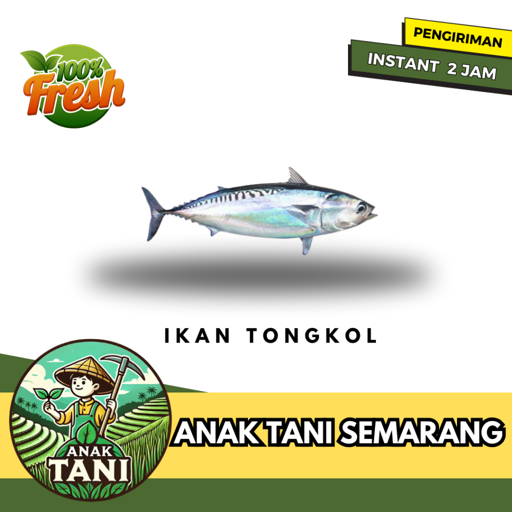 

[ANAK TANI] IKAN TONGKOL SEGAR PER 500 GR SIAP KIRIM INSTANT AREA SEMARANG