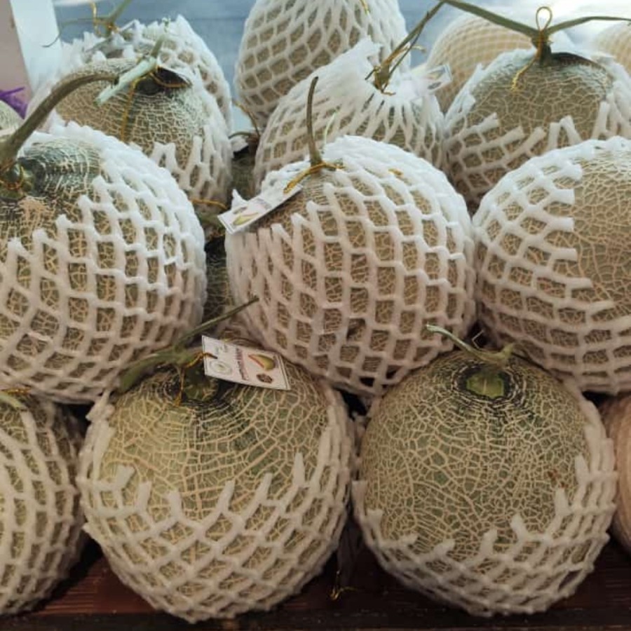 Buah Green Melon Jepang Sigami / Pcs