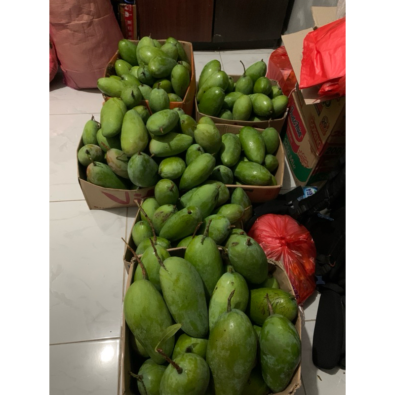 

Mangga