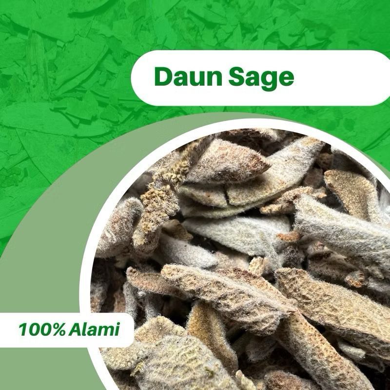 

100GR DAUN SAGE LEAF 100% ASLI