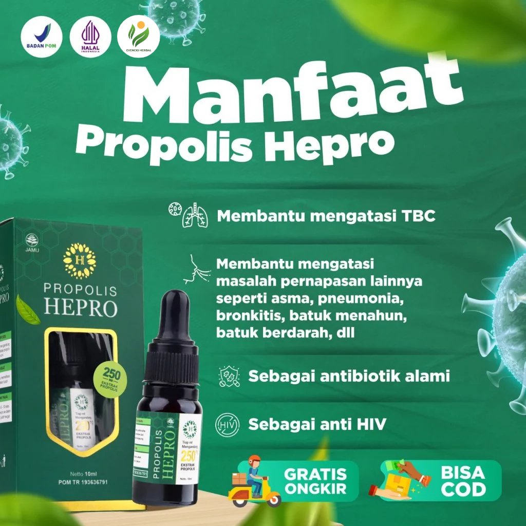 PROPOLIS HEPRO