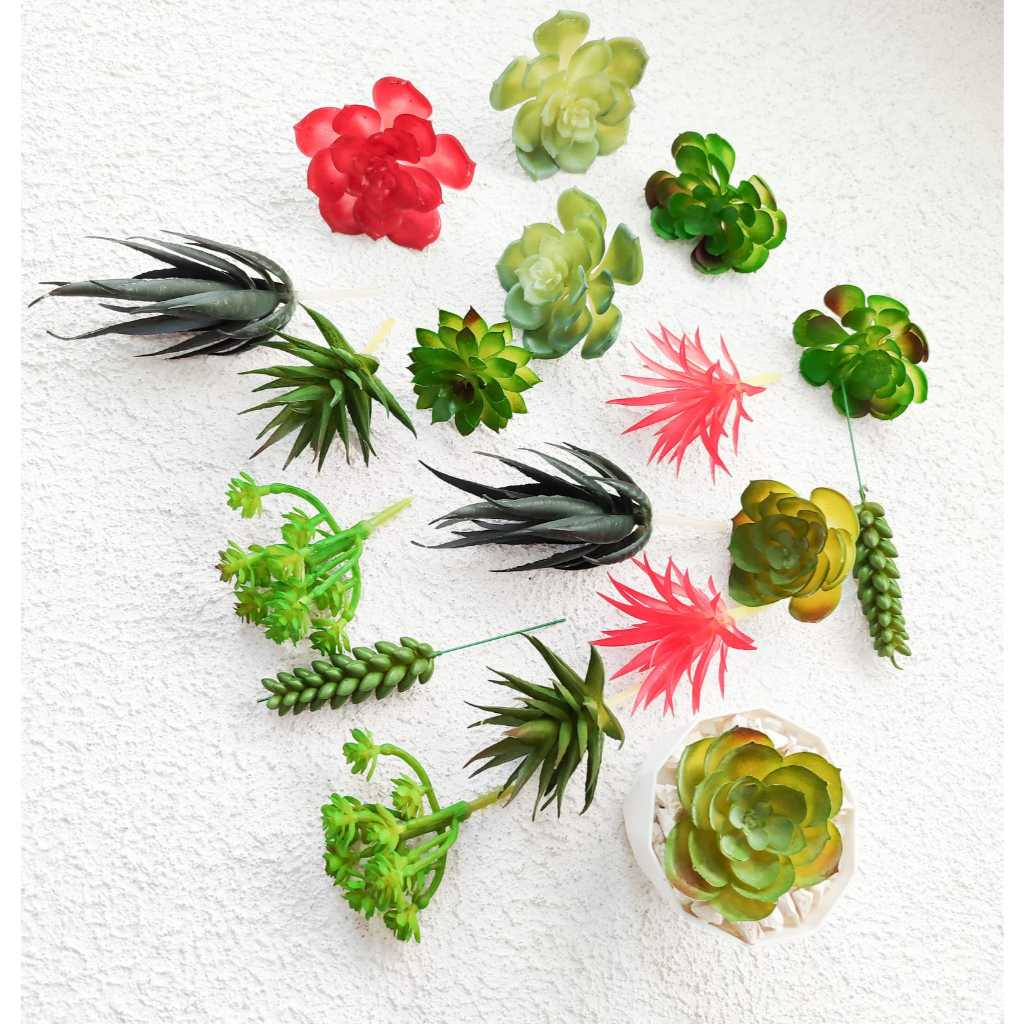 Sukulen Plastik - Kaktus Plastik Artificial - Tanaman Kaktus Hias -Tanaman Hias Terrarium