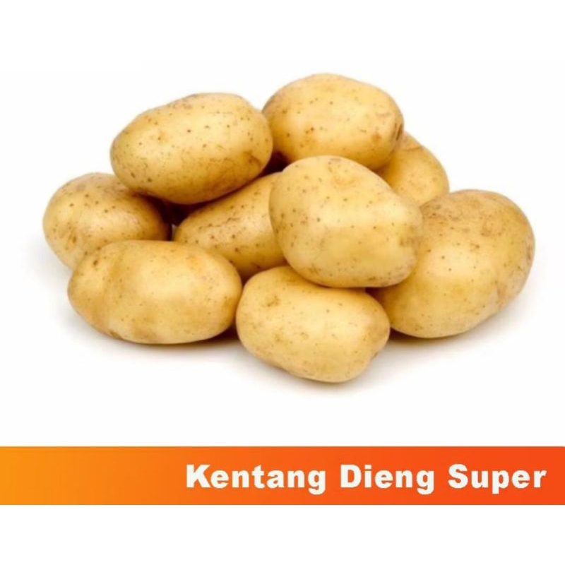 

kentang dieng