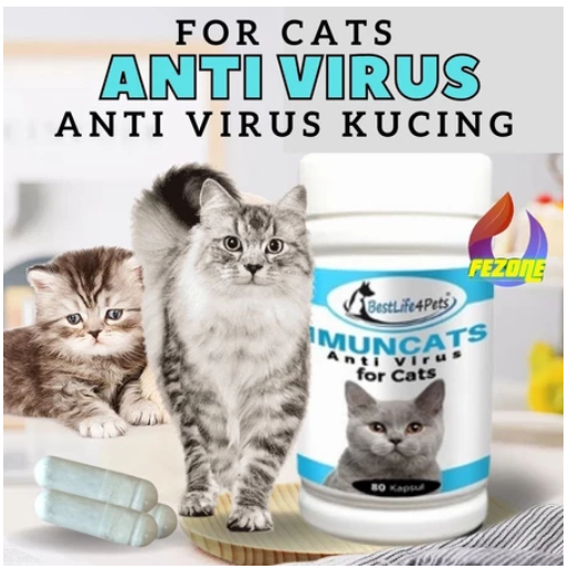 Obat Antibiotik Kucing Cat Kitten Anti Bakteri Virus Meningkatkan Imun Kucing
