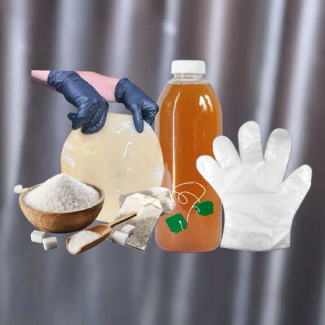 

Paket kombucha tanpa toples