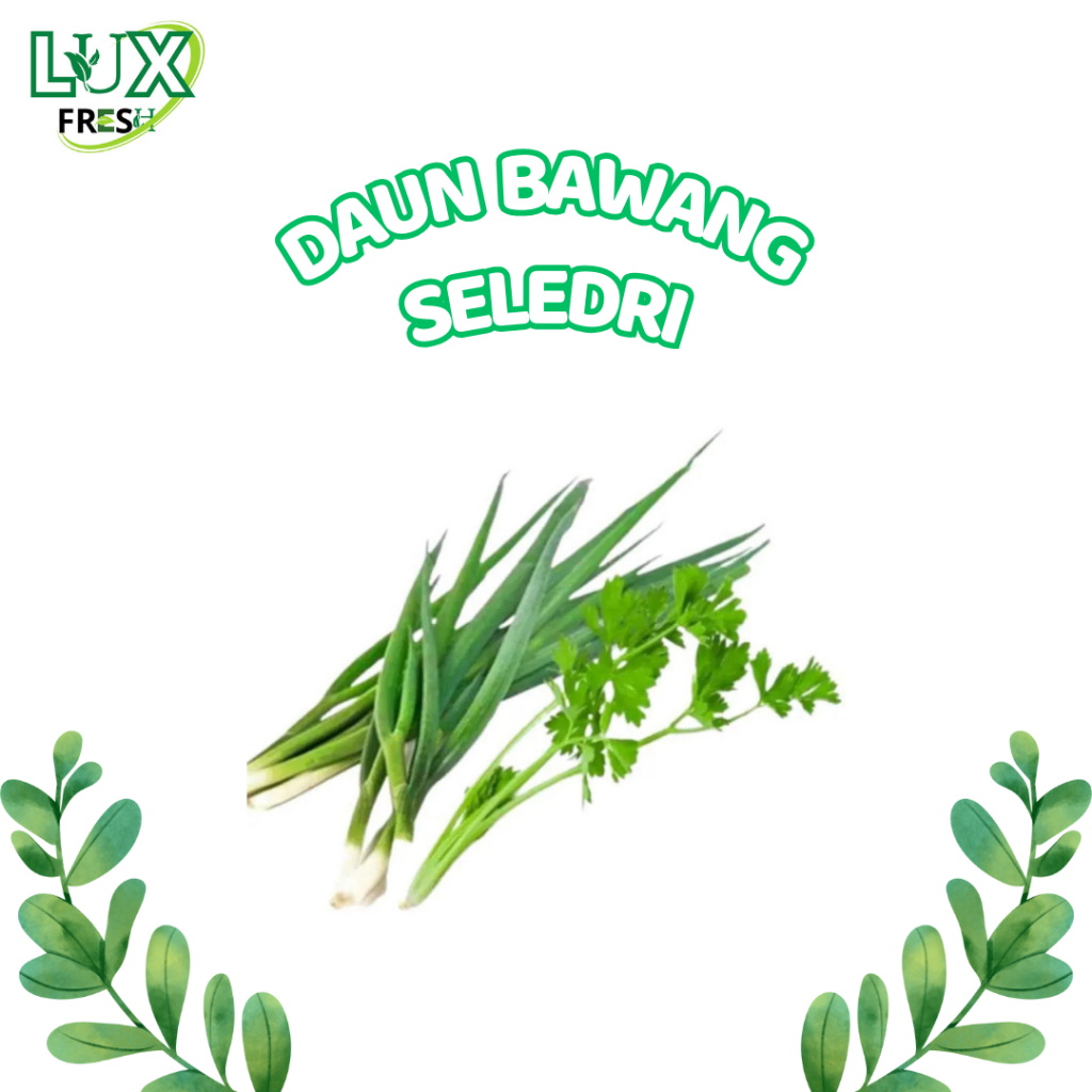 

DAUN BAWANG SELEDRI 500 GRAM DAN 1 KG SEGAR DAN BERKUALITAS