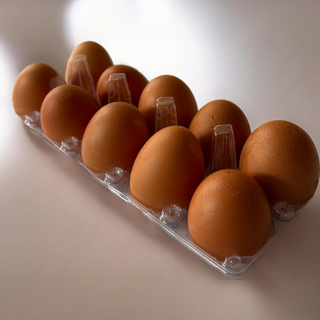 

Eggstra Telur Ayam Negeri 10 Butir Protein Tinggi