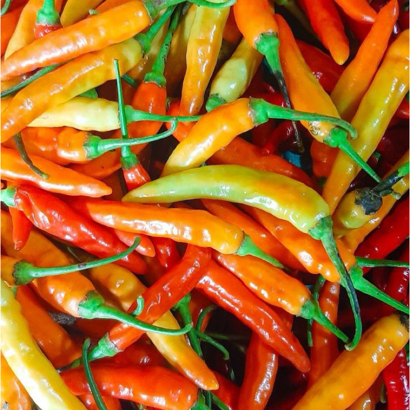

Cabai Rawit Merah Segar | CRM | Kemasan 1kg