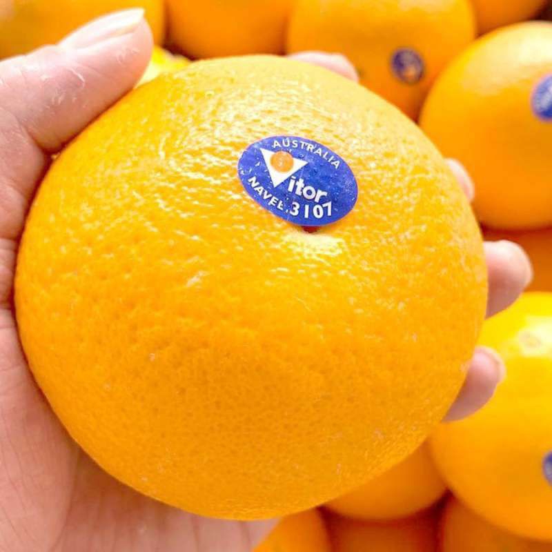 

JERUK SUNKIST FRESH ( 1KG )