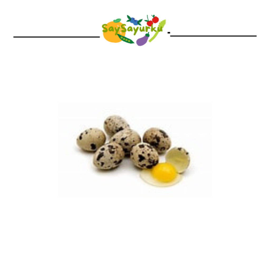 

TELUR PUYUH MENTAH 250GR