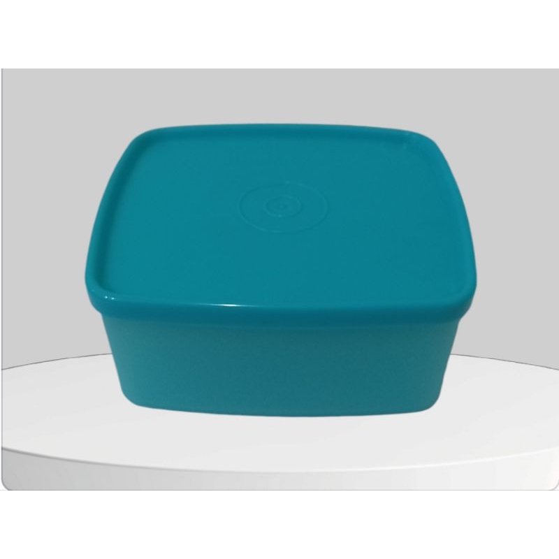 Kotak makan tupperware