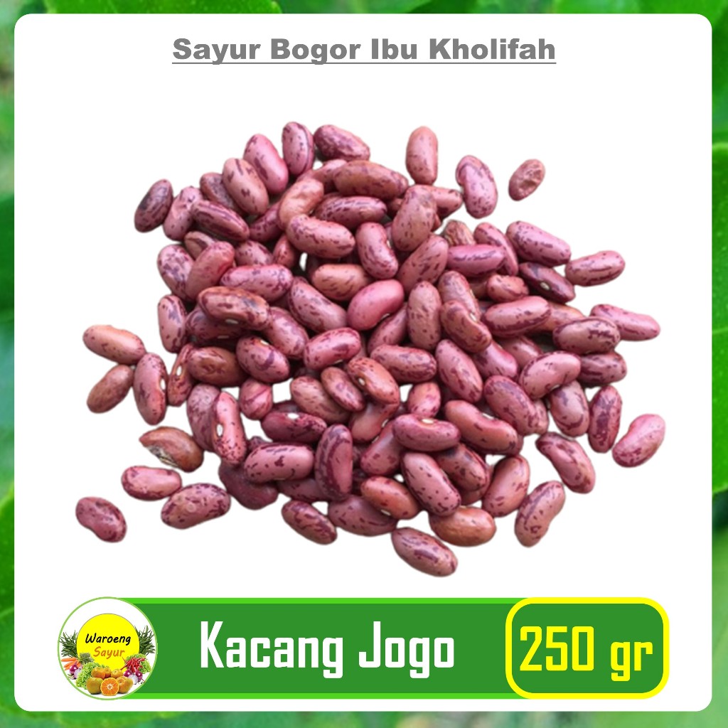 

Kacang Merah Jogo 250Gram Pasar Sayur Sayuran Online Segar Bogor