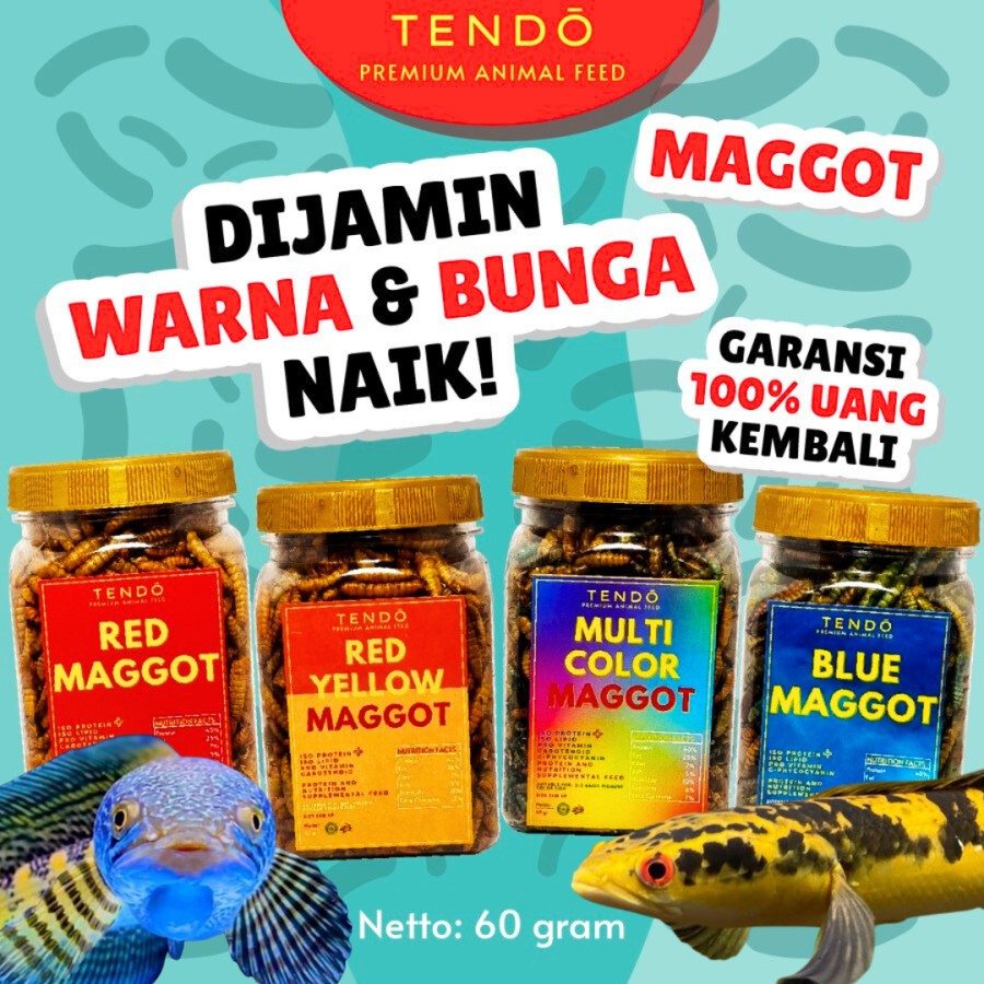 TERMURAH Pakan Ikan Chana Maggot Kering Pakan Channa Maru YS Blue Pulchra Asiatica Auranti Tendo 60