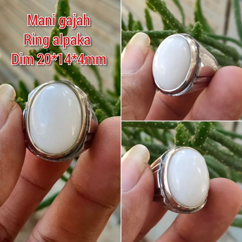 CINCIN PRIA BATU MANI GAJAH PUTIH RING ALPAKA SUPER HALUS