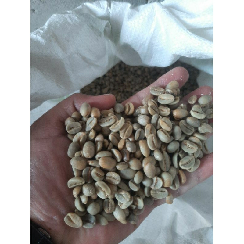 

green bean arabika natural bismo