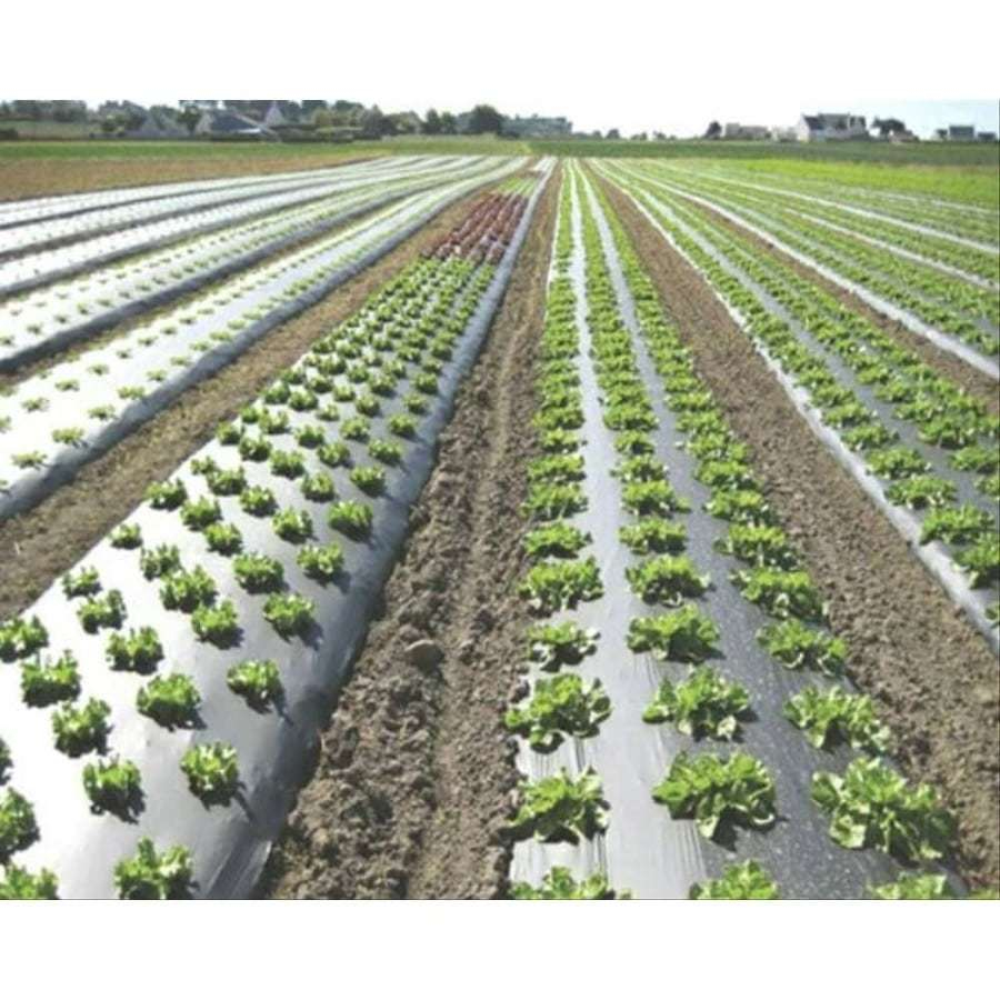 Plastik Mulsa 120 cm 1 Rol Plastik Mulsa 80 cm 1 Roll Plastik Mulsa Segala Ukuran Merek Juara