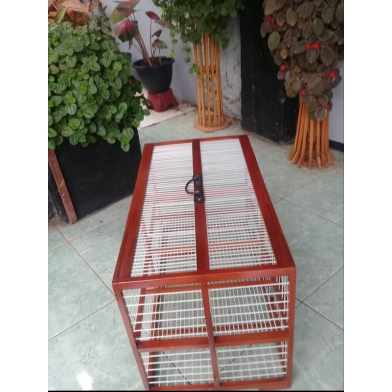 DONDANG MERPATI EMPAT PINTUBAHAN JATI RUJI FIBER