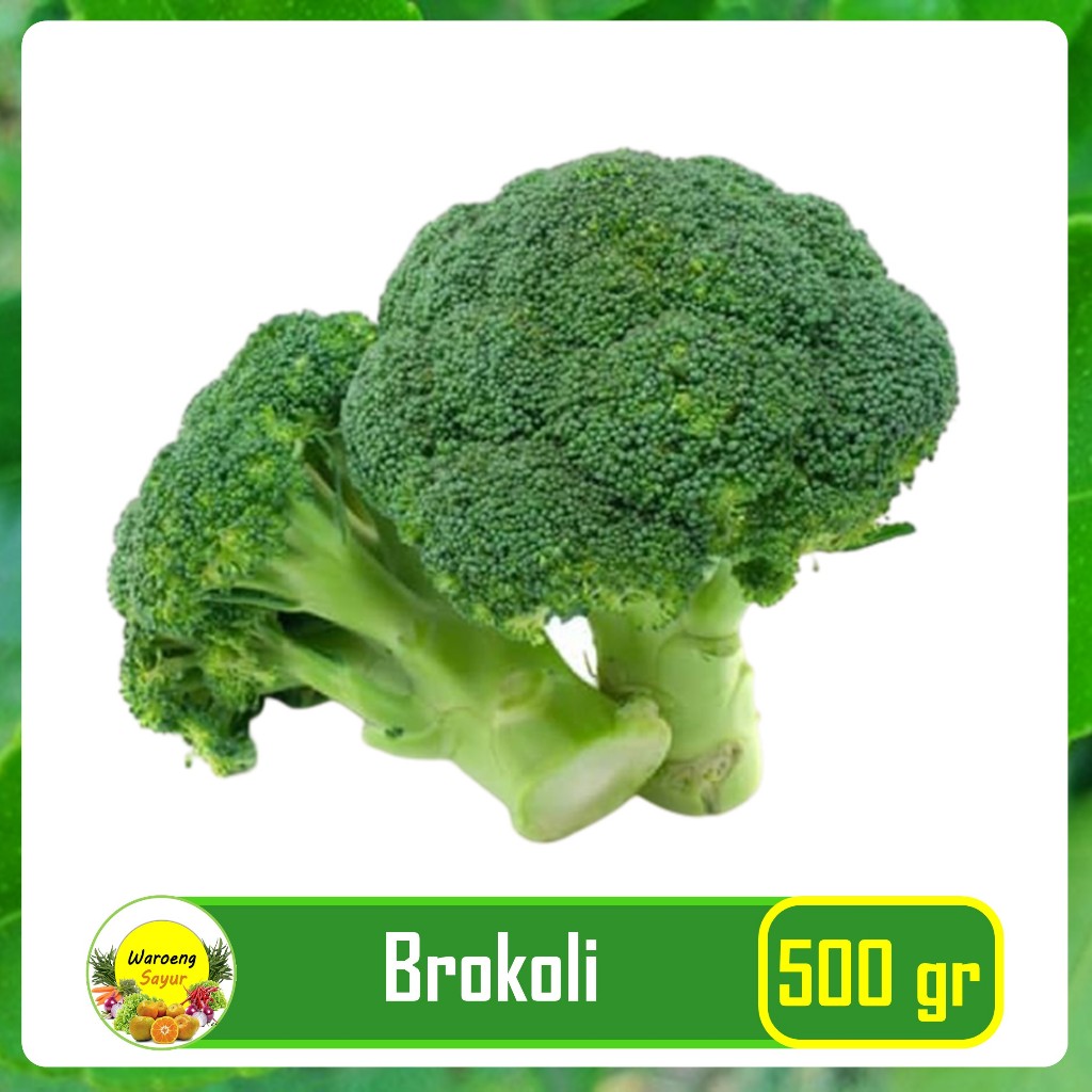 

Brokoli Hijau Segar 500 Gram Broccoli Sayur Sayuran Segar Bogor Fresfmart