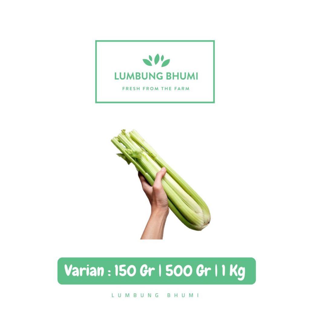 

Seledri Celery Stick Import Sayur - Lumbung Bhumi