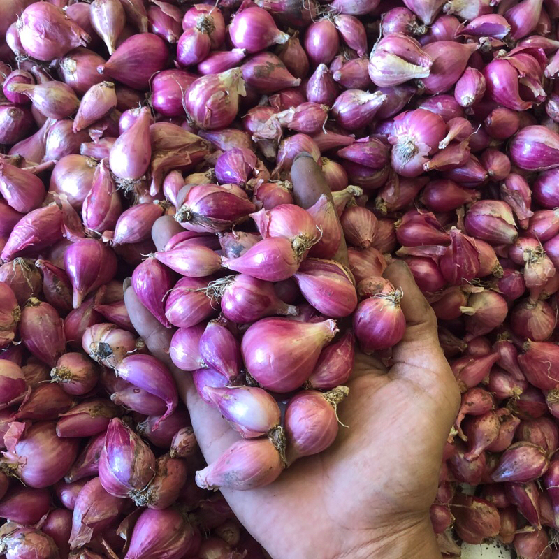 

Bawang Merah Lokal 1kg