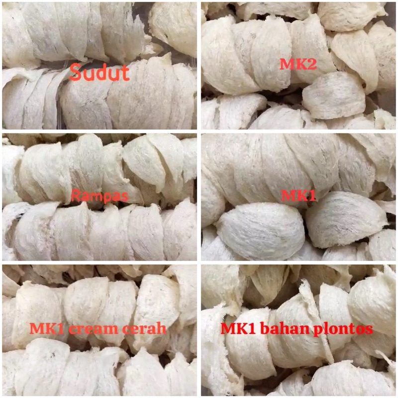 

sarang walet kalimantan asli