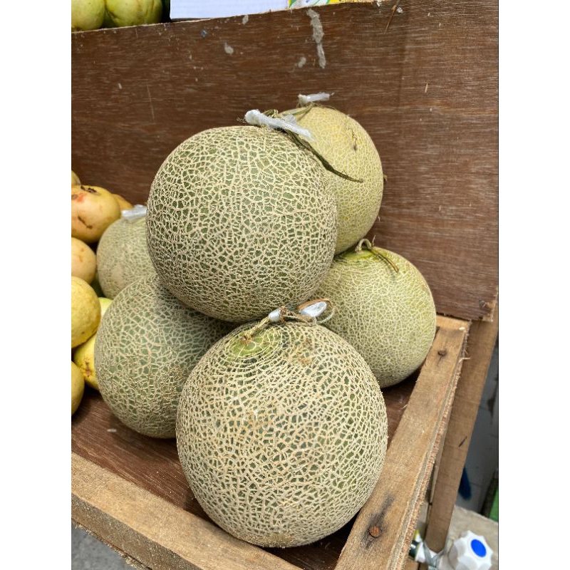 

Buah Melon Red Sweet 1 Kg